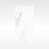 SnowWhite Grey 300x600 Polish